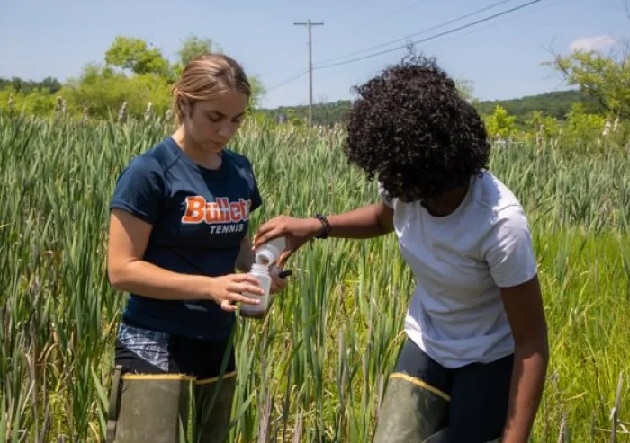 Two people inspect tall grasses in a field.