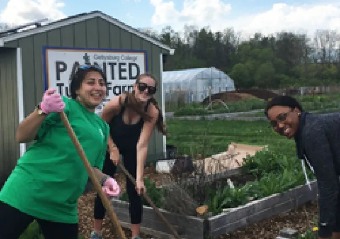 A group of students working at Painted Turtle Farm.