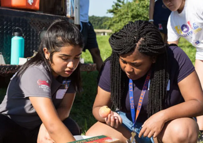 Students work on a project.
