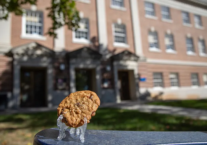 Oatmeal Raisin