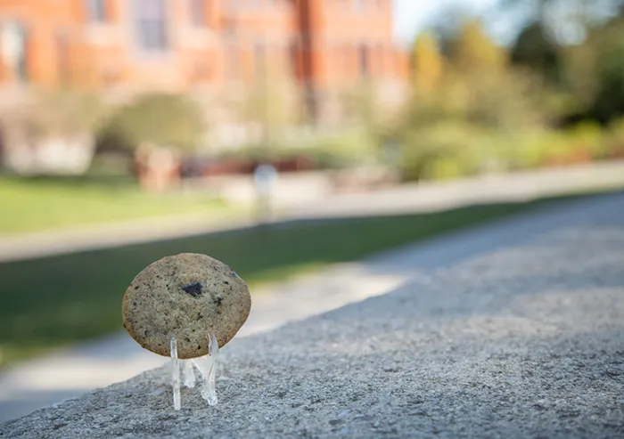 Oreo