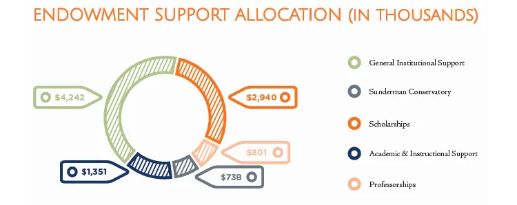 endowment support allocation