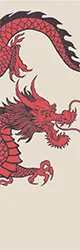 illustration of chinese dragon