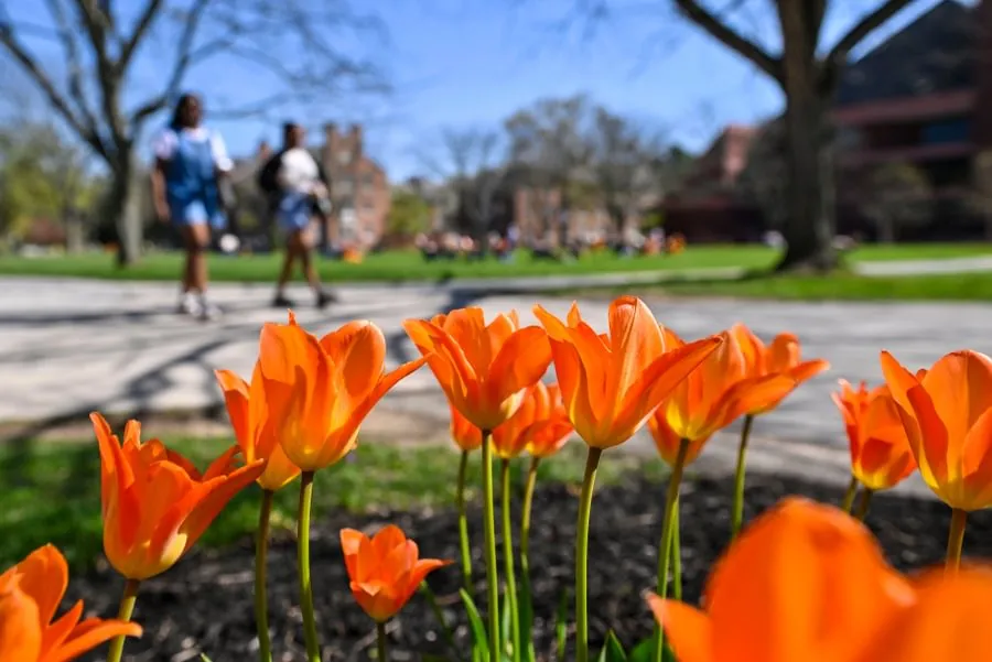 Spring blooms frame campus life on a sunny day. 