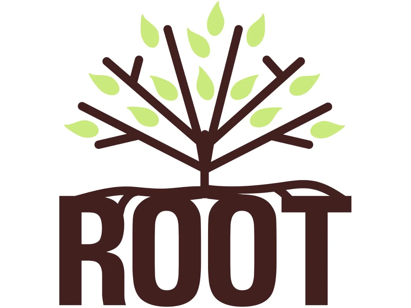 Root