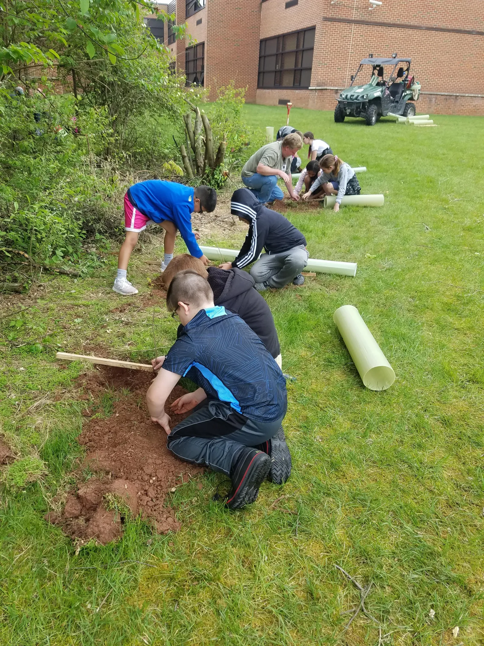 Students planting tree seedlings