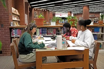 A group of students study in a library.