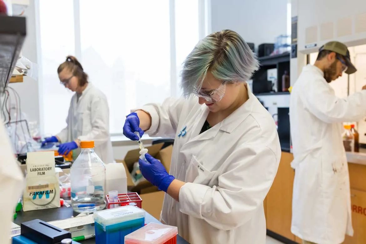 A group of students work with scientific equipment.