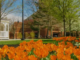 Flowers on the Gettysburg College campus.