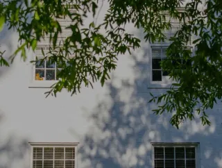 Trees around the Penn Hall