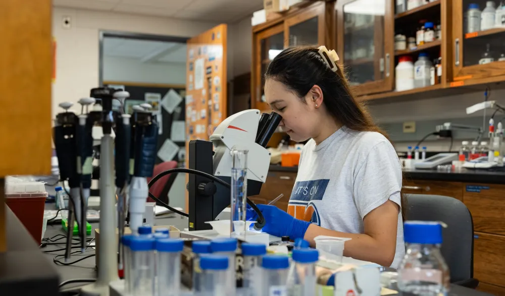 student in bio lab peers into microscope