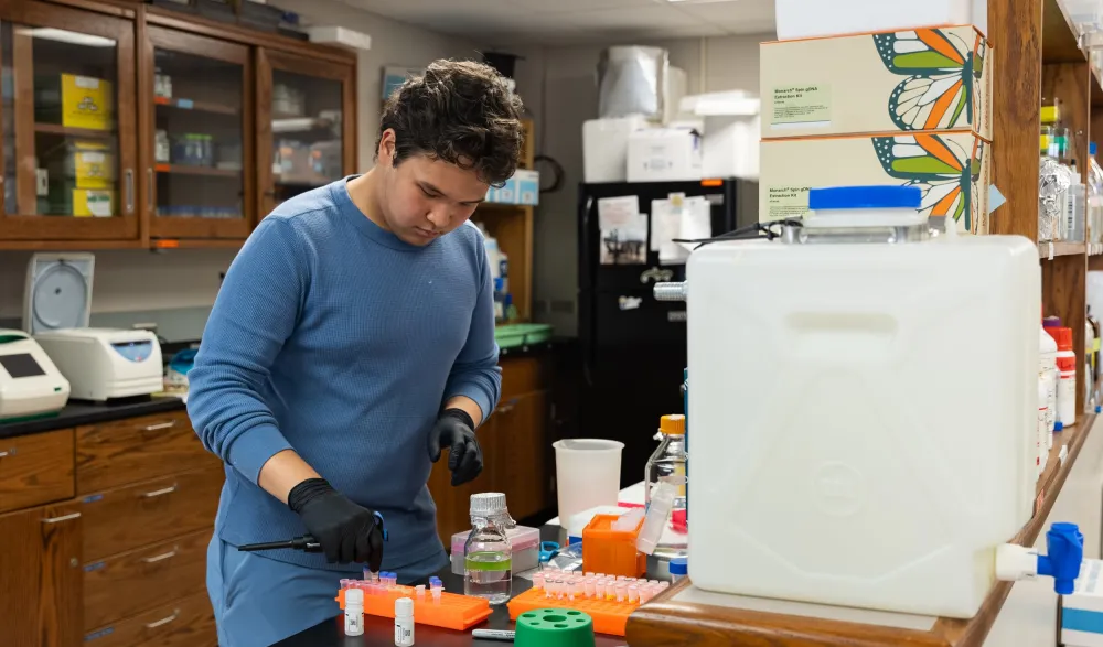 student at bio lab workbench with assays