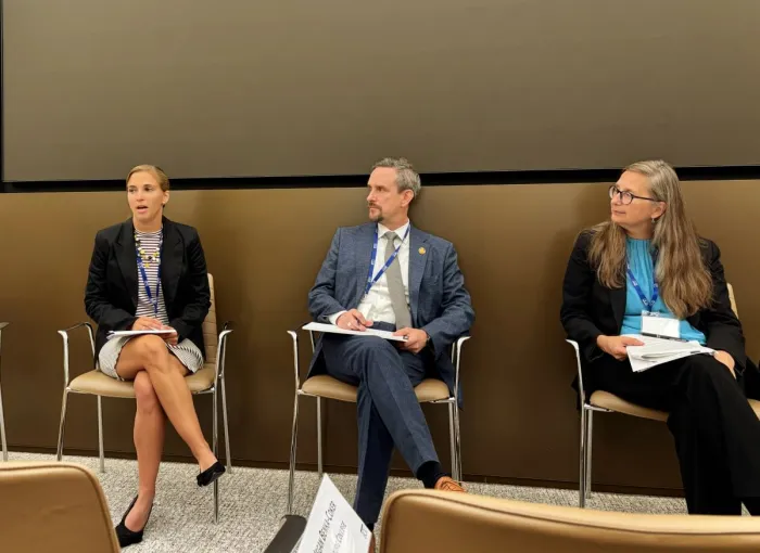panel at UN
