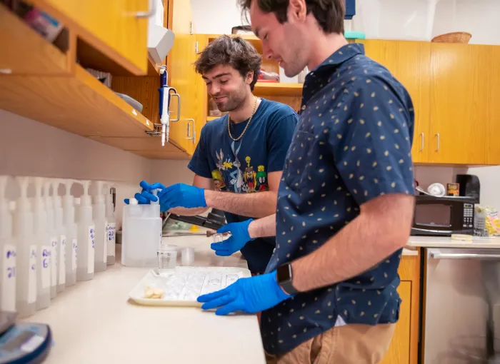 students in lab doing testing
