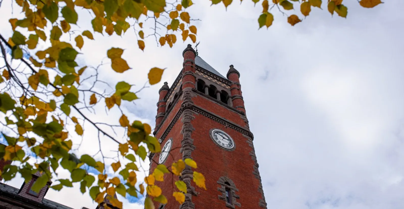 Fall Scenics