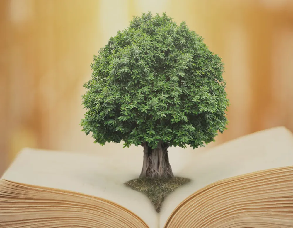 bonsai in a book